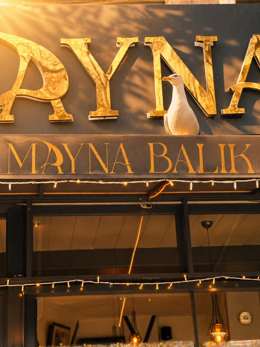 Mayna Balık Hakkımızda Görseli